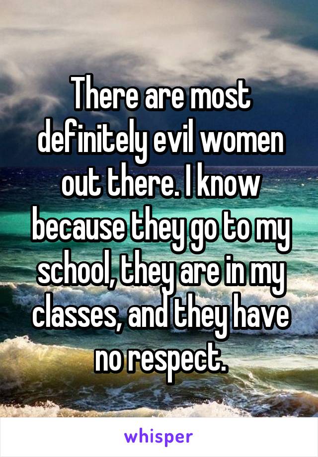 There are most definitely evil women out there. I know because they go to my school, they are in my classes, and they have no respect.