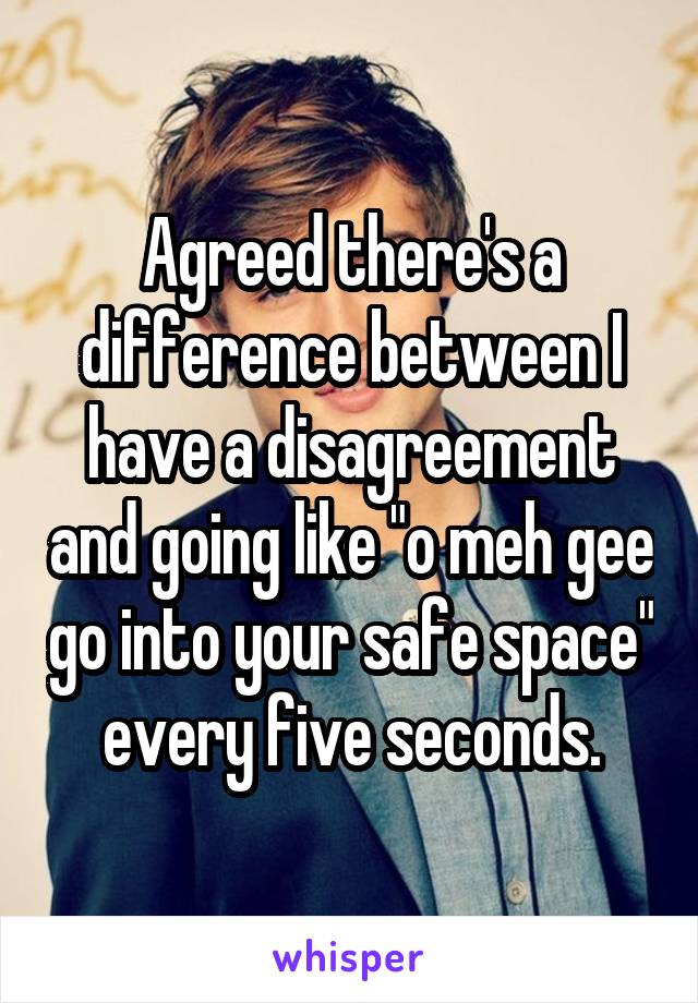 Agreed there's a difference between I have a disagreement and going like "o meh gee go into your safe space" every five seconds.