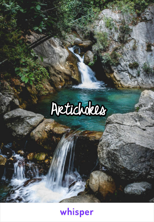 Artichokes