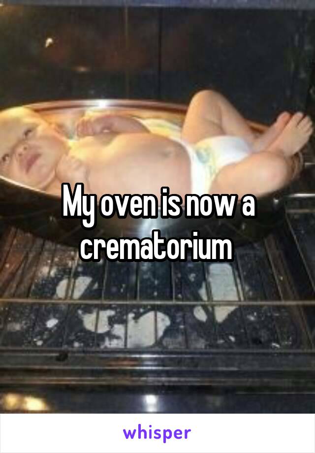 My oven is now a crematorium 
