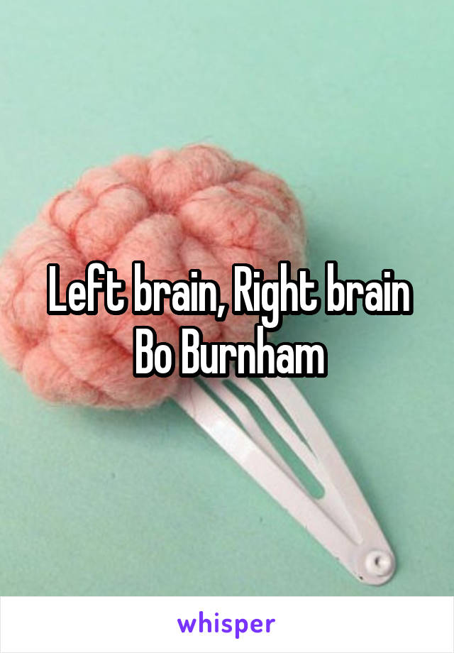 Left brain, Right brain
Bo Burnham