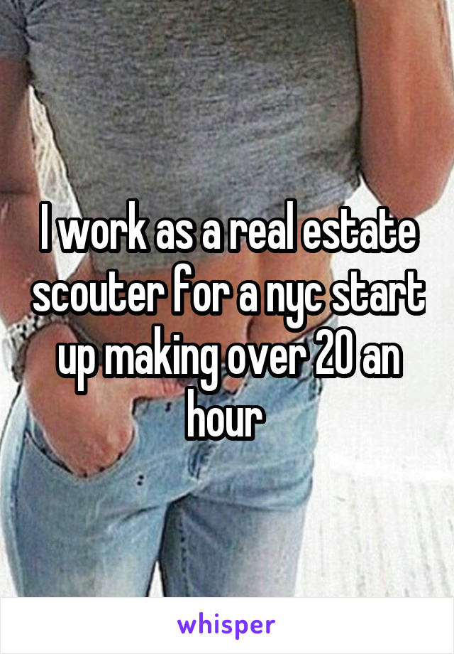 I work as a real estate scouter for a nyc start up making over 20 an hour 