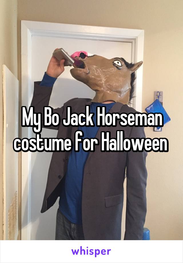 My Bo Jack Horseman costume for Halloween 