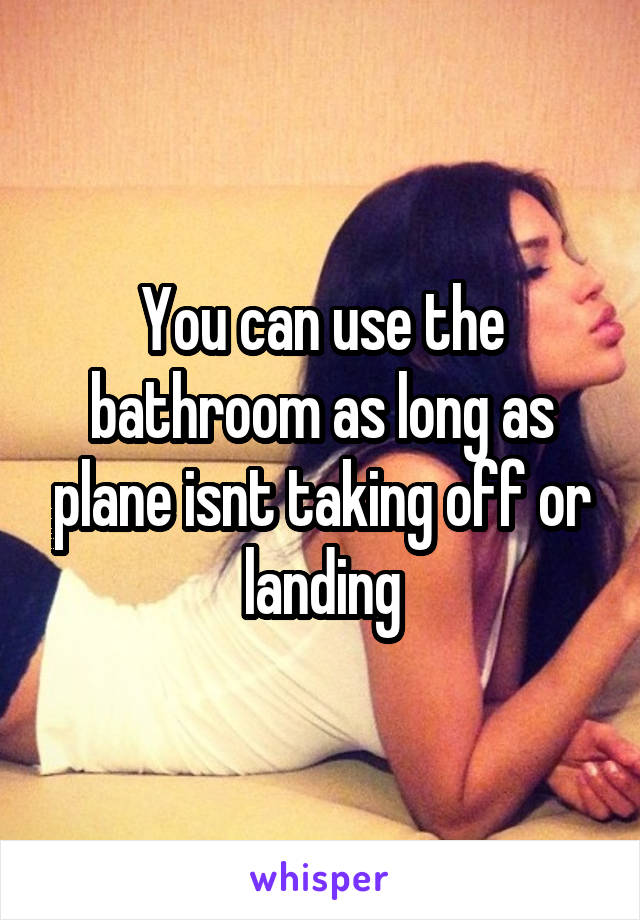 You can use the bathroom as long as plane isnt taking off or landing