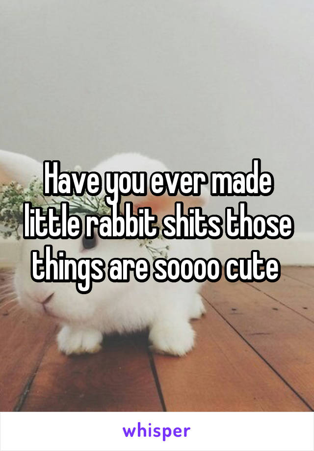 Have you ever made little rabbit shits those things are soooo cute 