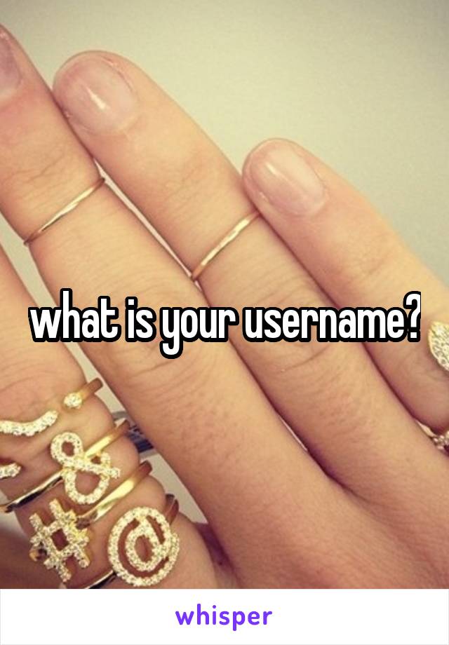 what is your username?
