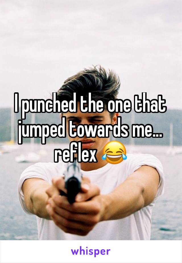 I punched the one that jumped towards me... reflex 😂
