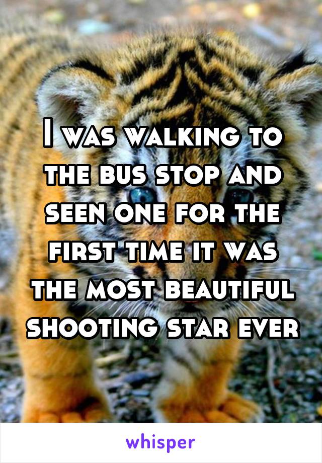 I was walking to the bus stop and seen one for the first time it was the most beautiful shooting star ever