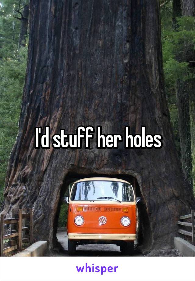 I'd stuff her holes