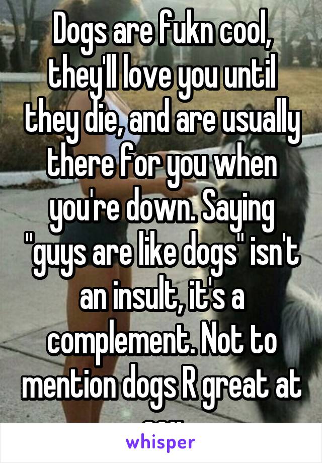 Dogs are fukn cool, they'll love you until they die, and are usually there for you when you're down. Saying "guys are like dogs" isn't an insult, it's a complement. Not to mention dogs R great at sex