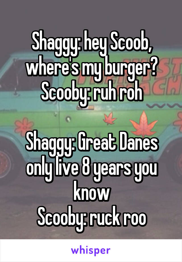 Shaggy: hey Scoob, where's my burger?
Scooby: ruh roh

Shaggy: Great Danes only live 8 years you know
Scooby: ruck roo
