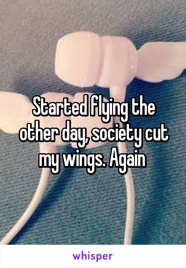Started flying the other day, society cut my wings. Again 