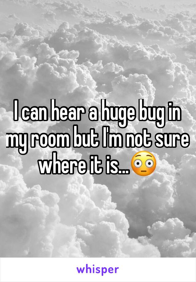 I can hear a huge bug in my room but I'm not sure where it is...😳