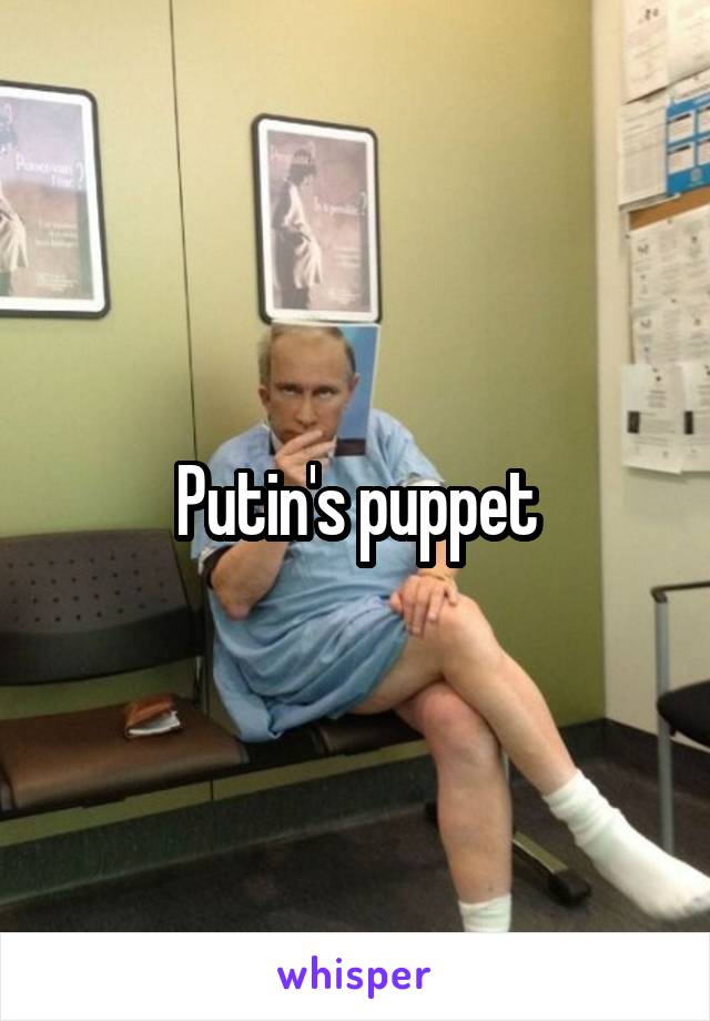 Putin's puppet