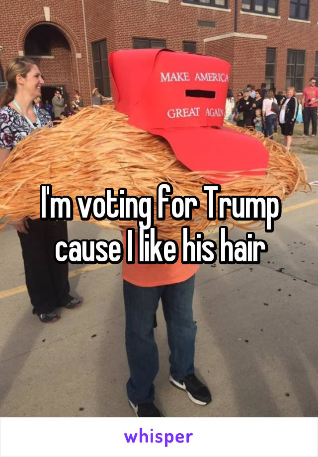 I'm voting for Trump cause I like his hair