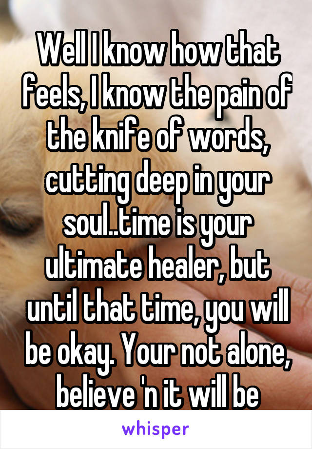 Well I know how that feels, I know the pain of the knife of words, cutting deep in your soul..time is your ultimate healer, but until that time, you will be okay. Your not alone, believe 'n it will be