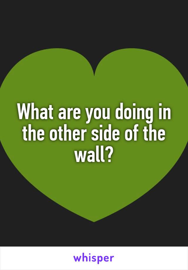 What are you doing in the other side of the wall?