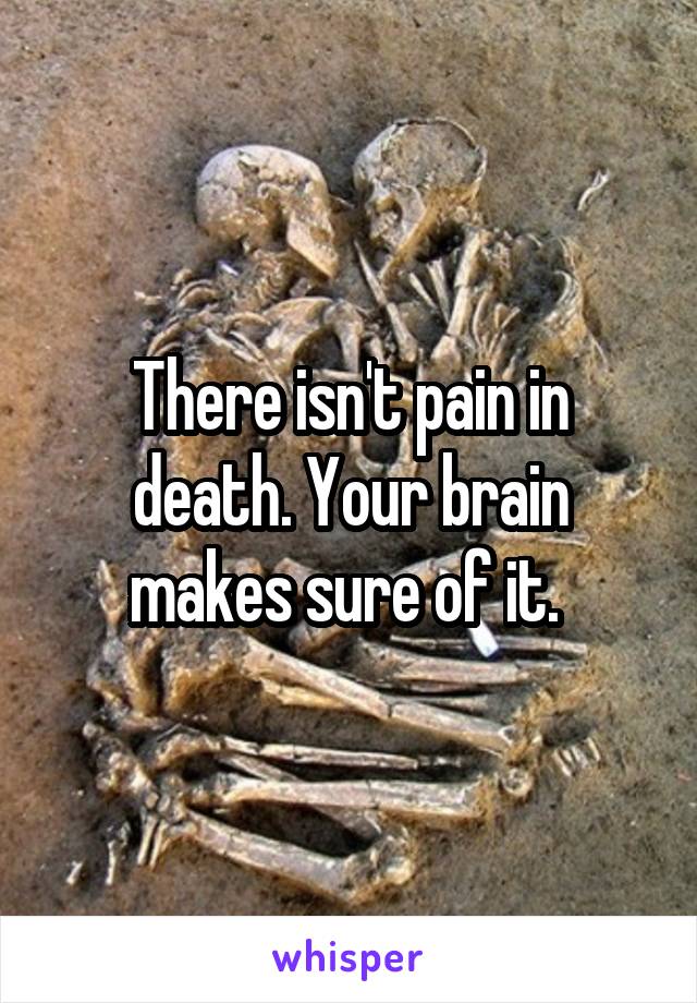 There isn't pain in death. Your brain makes sure of it. 