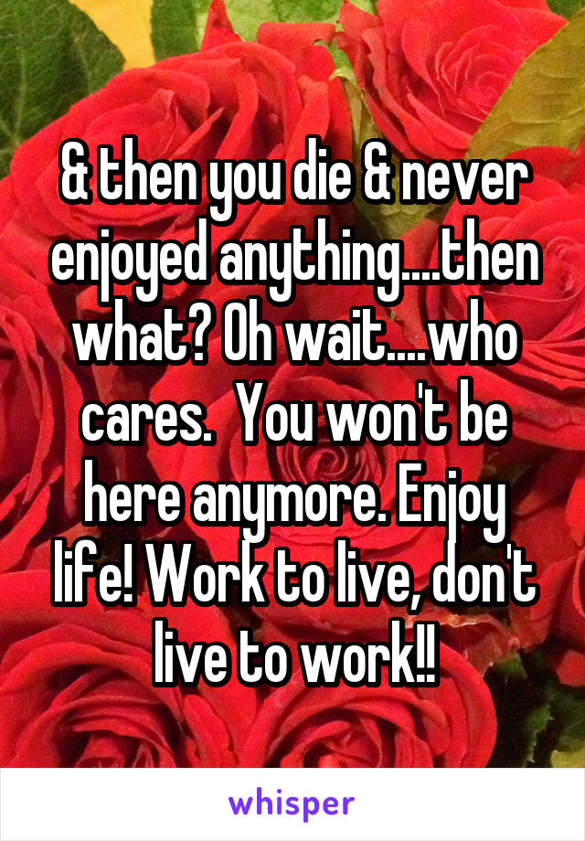 & then you die & never enjoyed anything....then what? Oh wait....who cares.  You won't be here anymore. Enjoy life! Work to live, don't live to work!!