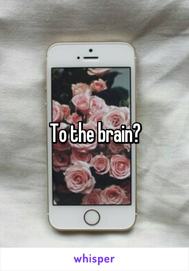 To the brain?