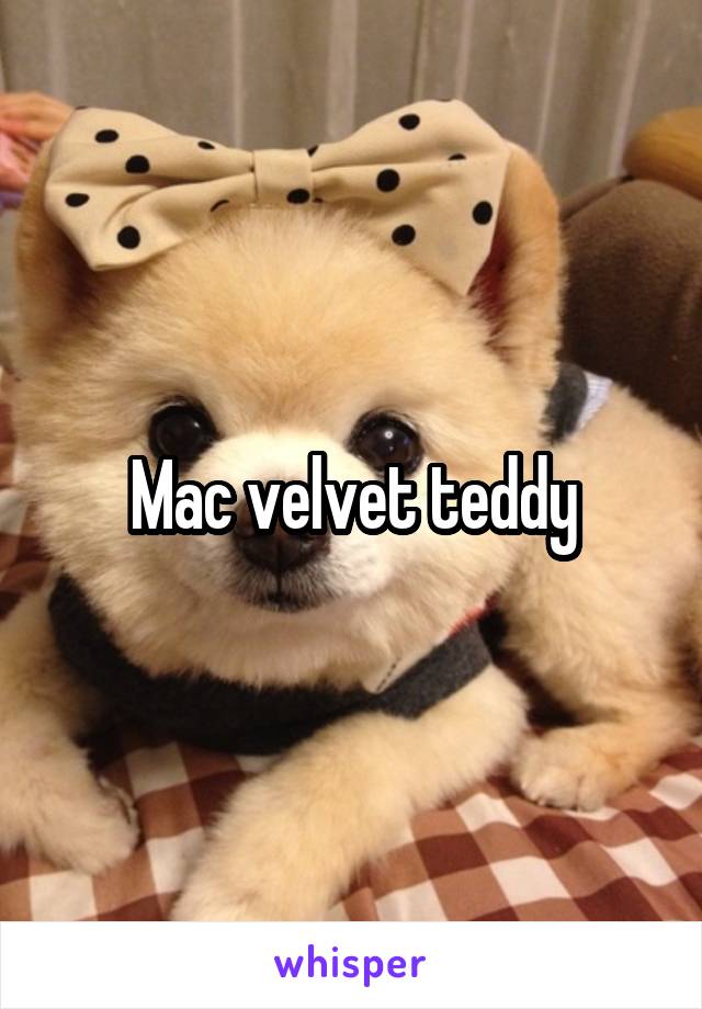 Mac velvet teddy