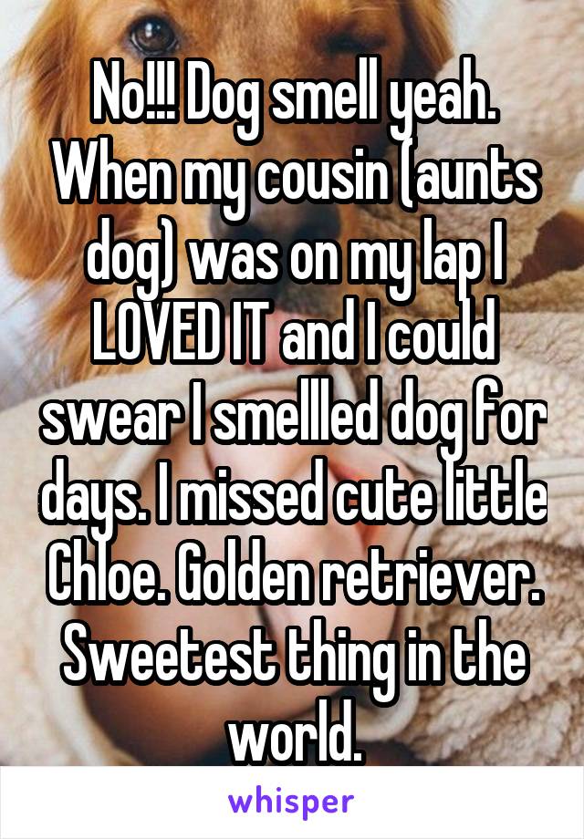 No!!! Dog smell yeah. When my cousin (aunts dog) was on my lap I LOVED IT and I could swear I smellled dog for days. I missed cute little Chloe. Golden retriever. Sweetest thing in the world.
