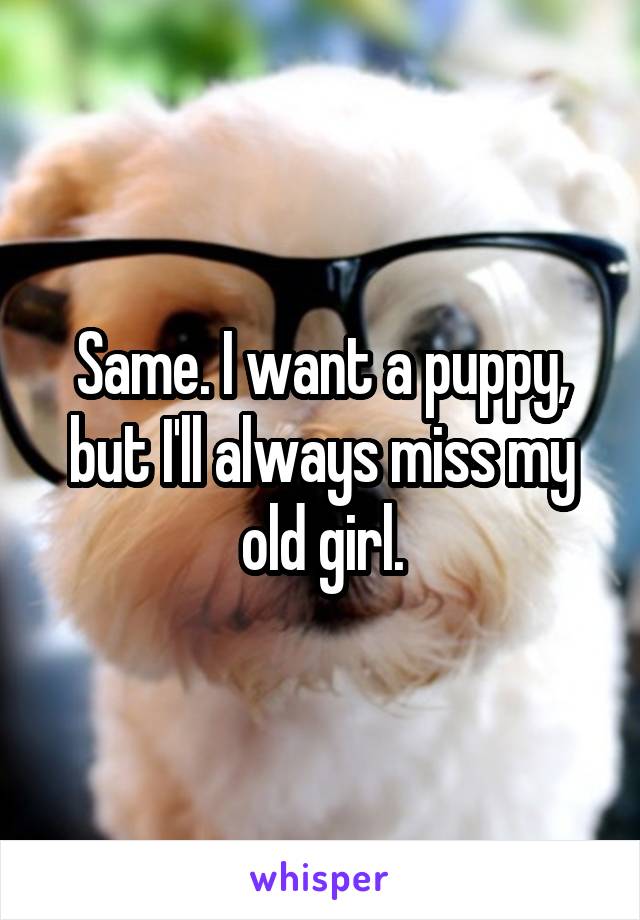 Same. I want a puppy, but I'll always miss my old girl.