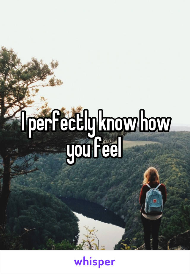 I perfectly know how you feel 