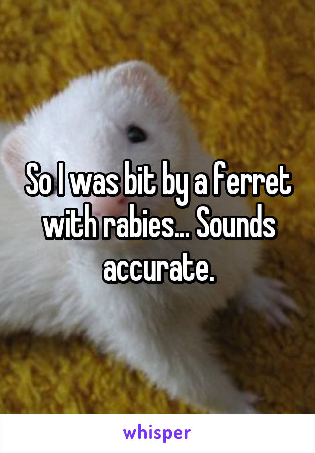 So I was bit by a ferret with rabies... Sounds accurate.