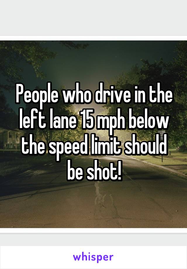 People who drive in the left lane 15 mph below the speed limit should be shot!