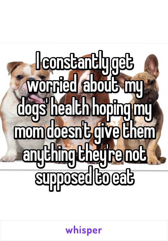 I constantly get worried  about  my dogs' health hoping my mom doesn't give them anything they're not supposed to eat