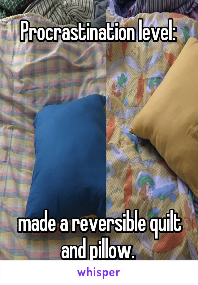 Procrastination level: 






made a reversible quilt and pillow. 