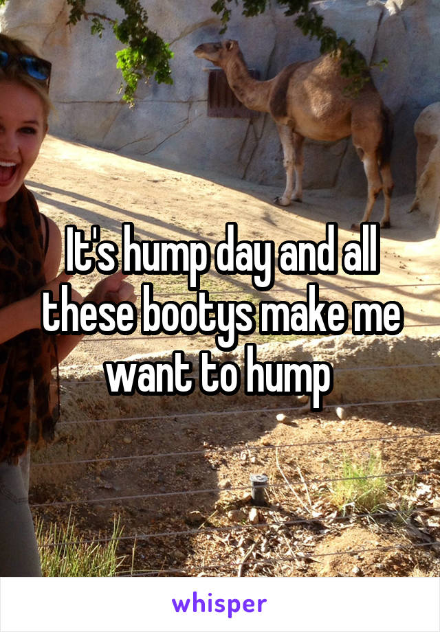It's hump day and all these bootys make me want to hump 