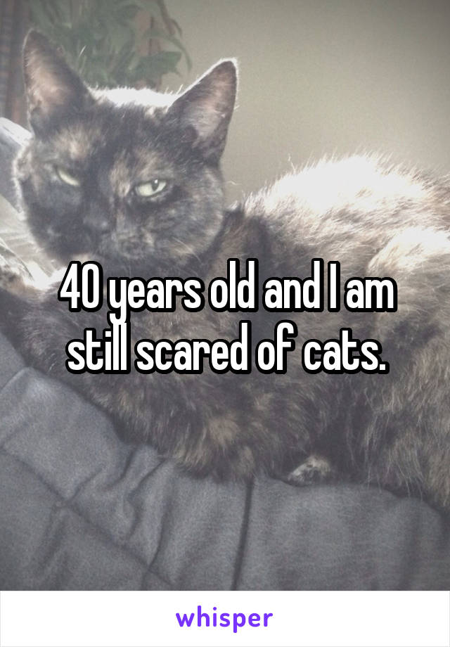 40 years old and I am still scared of cats.