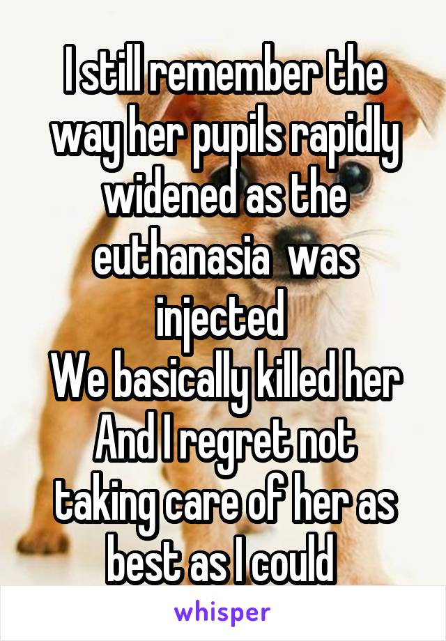 I still remember the way her pupils rapidly widened as the euthanasia  was injected 
We basically killed her
And I regret not taking care of her as best as I could 