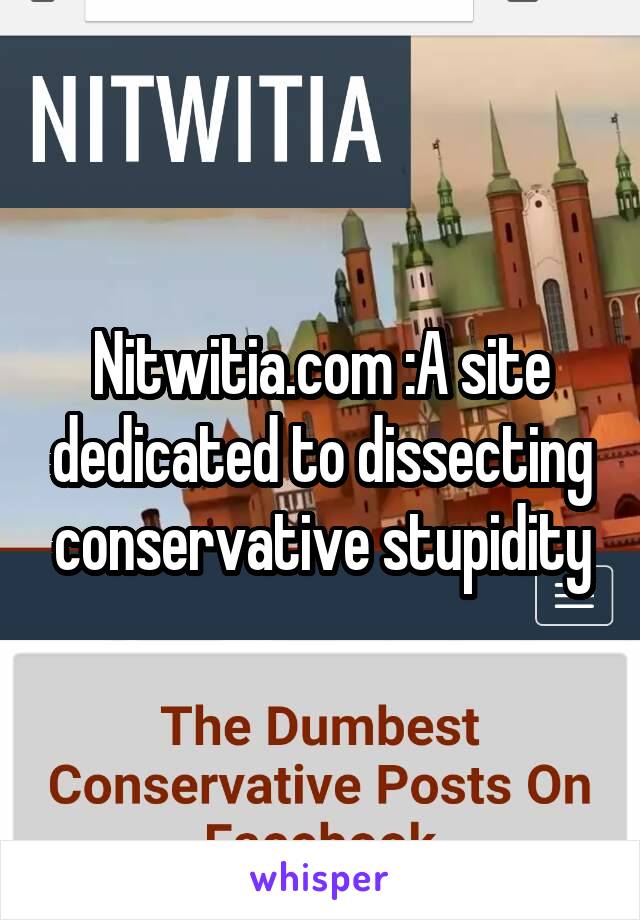 Nitwitia.com :A site dedicated to dissecting conservative stupidity