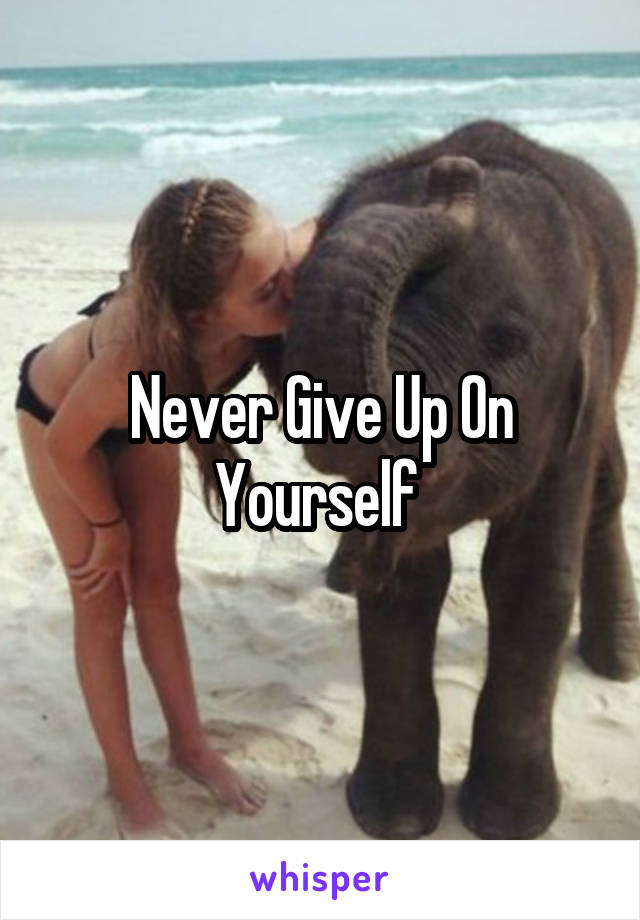 Never Give Up On Yourself 