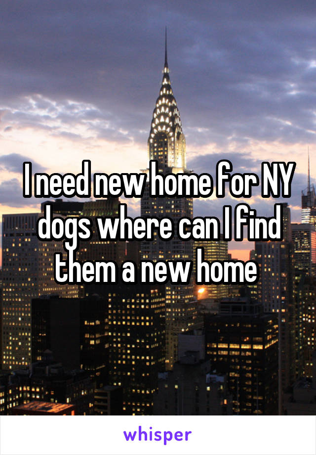 I need new home for NY dogs where can I find them a new home 