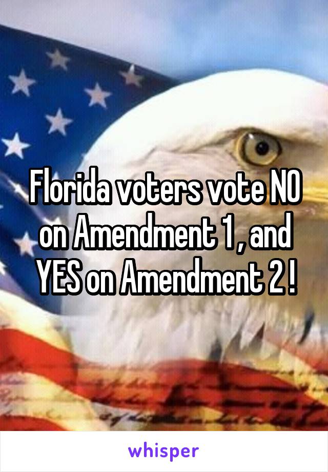 Florida voters vote NO on Amendment 1 , and YES on Amendment 2 !