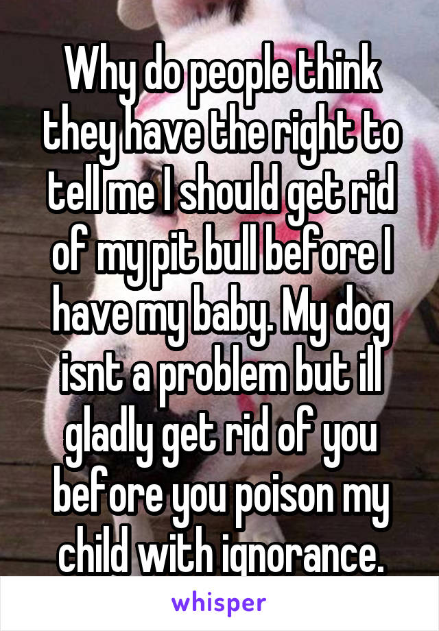 Why do people think they have the right to tell me I should get rid of my pit bull before I have my baby. My dog isnt a problem but ill gladly get rid of you before you poison my child with ignorance.