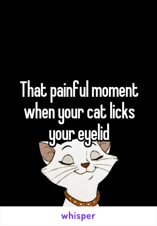That painful moment when your cat licks your eyelid