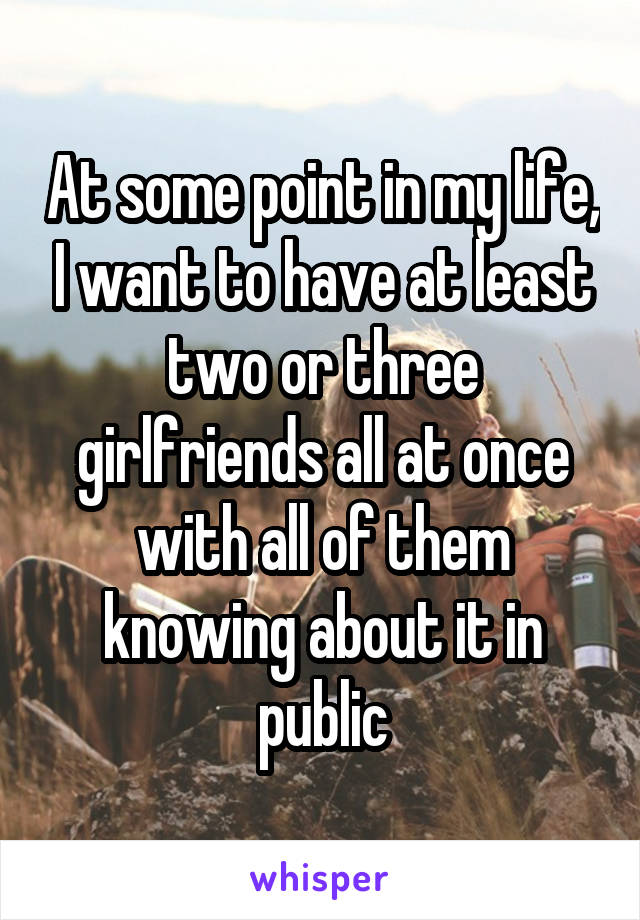 At some point in my life, I want to have at least two or three girlfriends all at once with all of them knowing about it in public