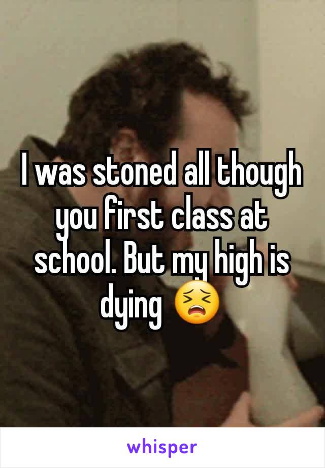 I was stoned all though you first class at school. But my high is dying 😣