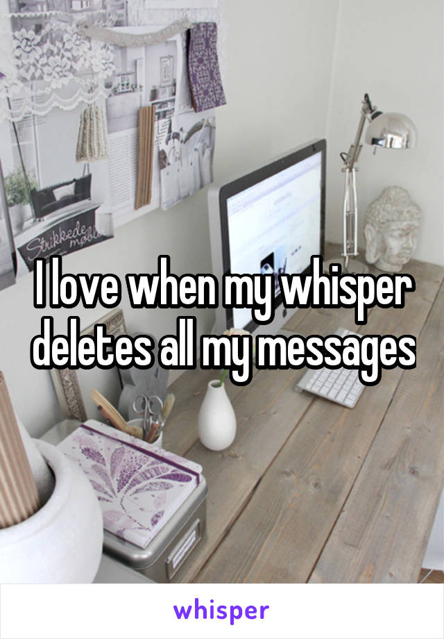 I love when my whisper deletes all my messages