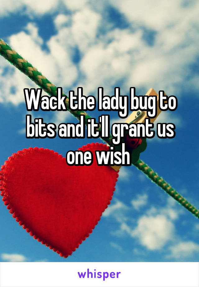 Wack the lady bug to bits and it'll grant us one wish 
