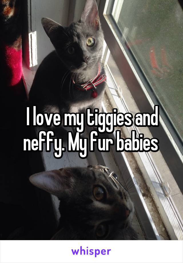 I love my tiggies and neffy. My fur babies 