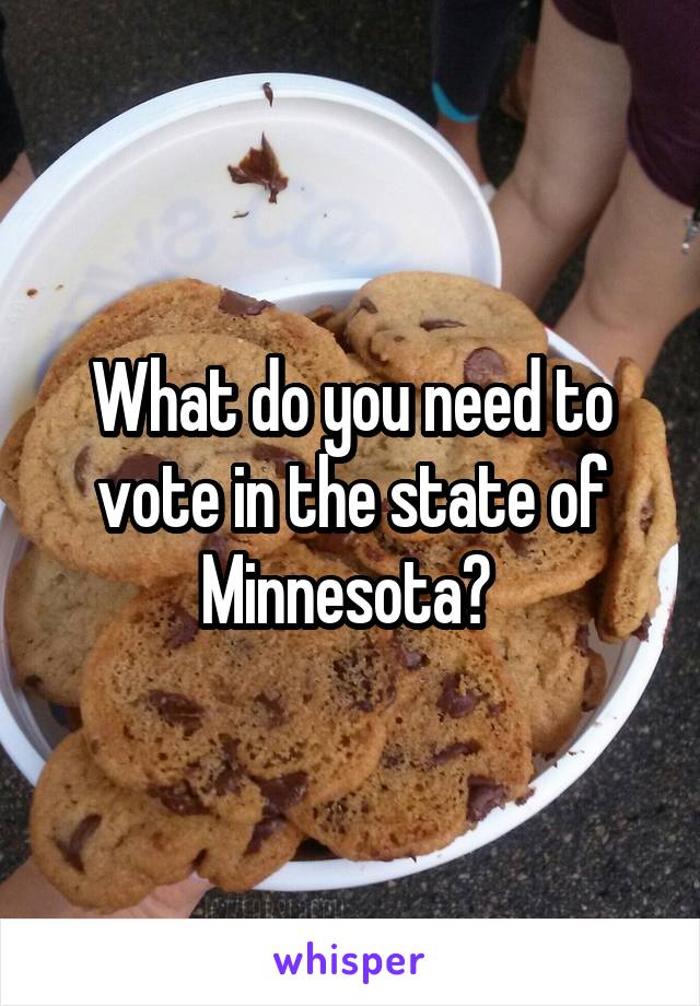 What do you need to vote in the state of Minnesota? 