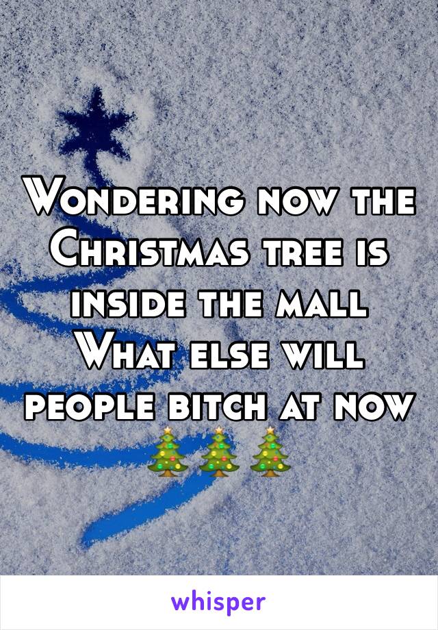 Wondering now the Christmas tree is inside the mall 
What else will people bitch at now 
🎄🎄🎄