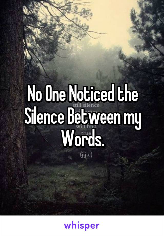 No One Noticed the Silence Between my Words.
