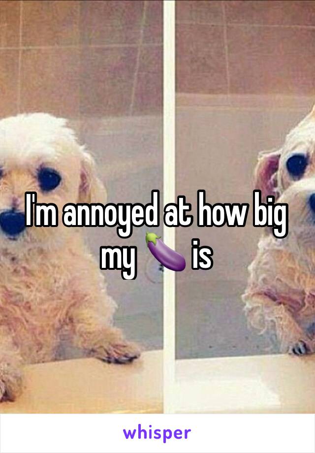 I'm annoyed at how big my 🍆 is 